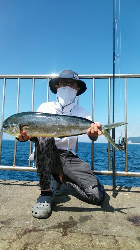 初投稿、シイラ1mバラシ70㎝ゲット